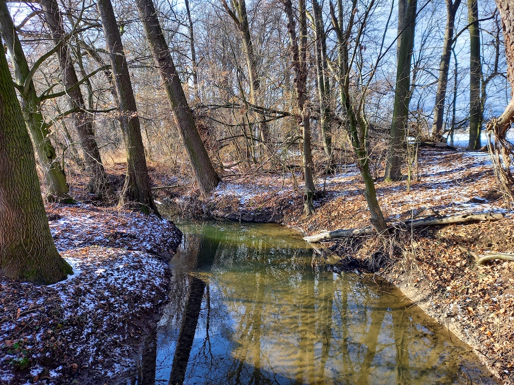 14 Meandry Struhy – přírodní památka V