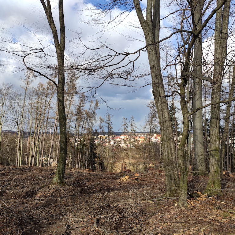 19 Výhled na Kostelec n. Orl.