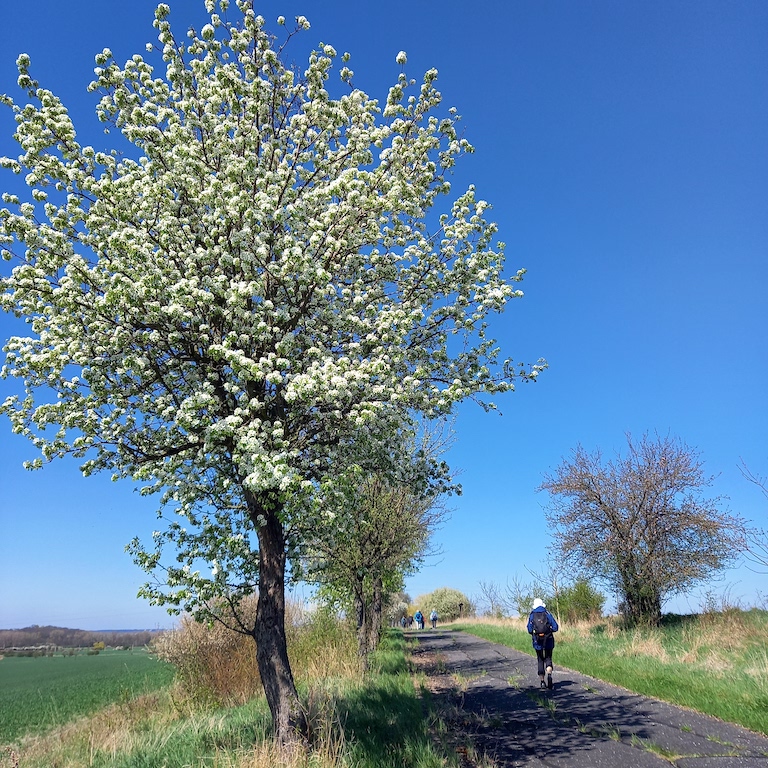 10 Konečně jaro