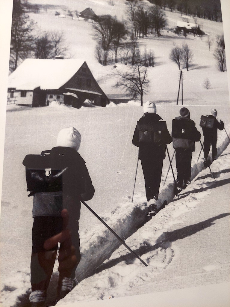 28 Cesta do školy