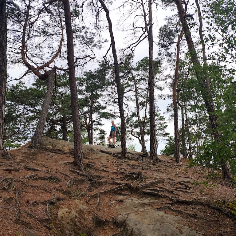 06 Na Králově stolci