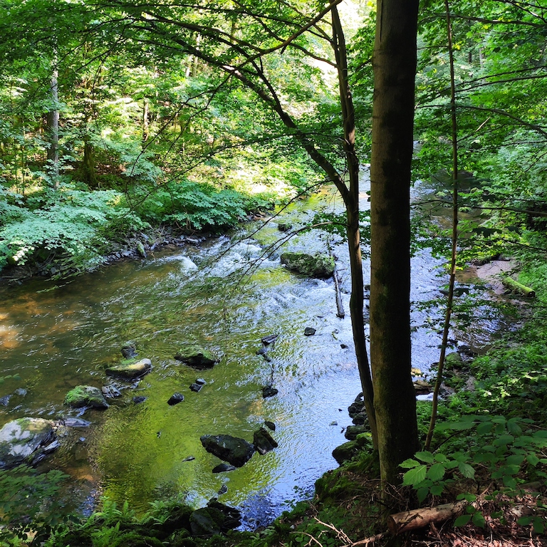 06 Řeka Kamenice