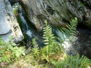 cernohorsky-potok-v-suchem-obdobi-leta.jpg